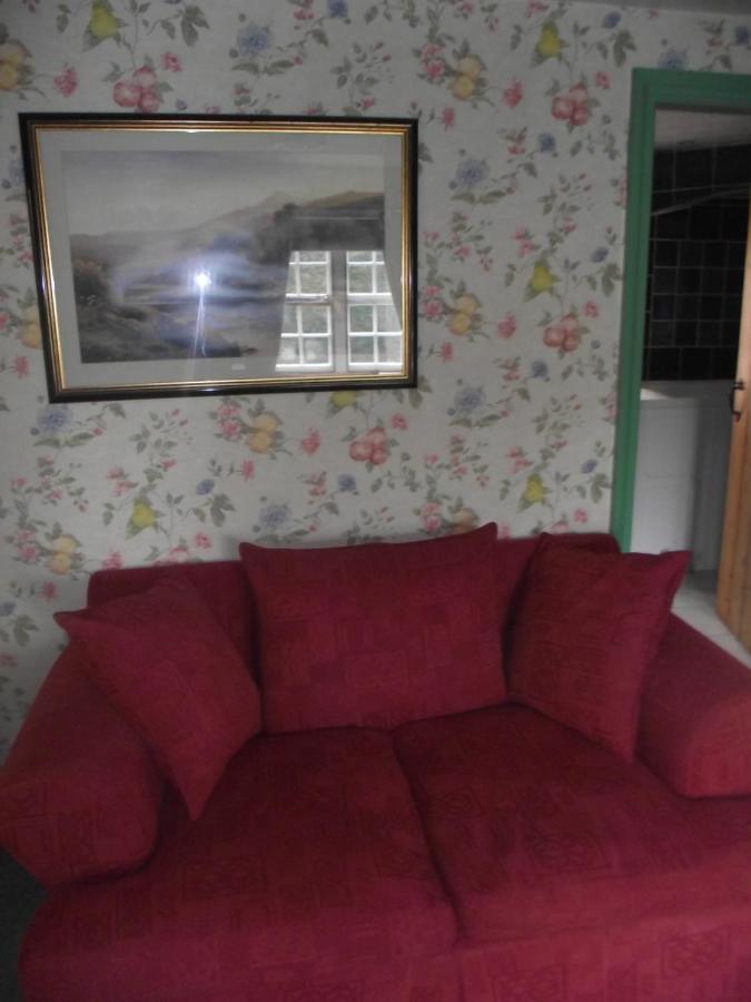 The Clochfaen Bed & Breakfast Llangurig Exterior photo