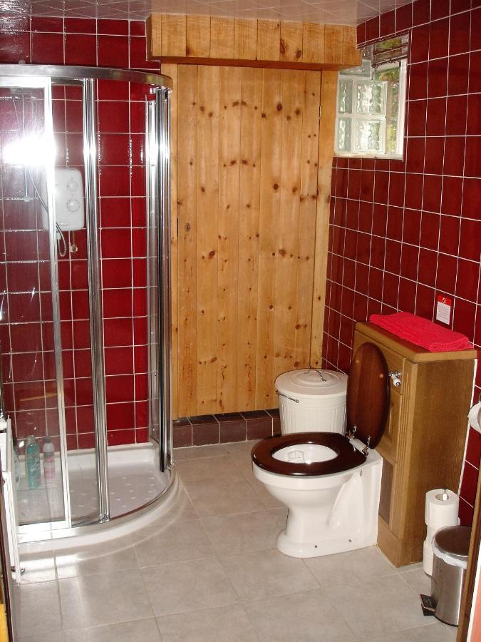 The Clochfaen Bed & Breakfast Llangurig Exterior photo