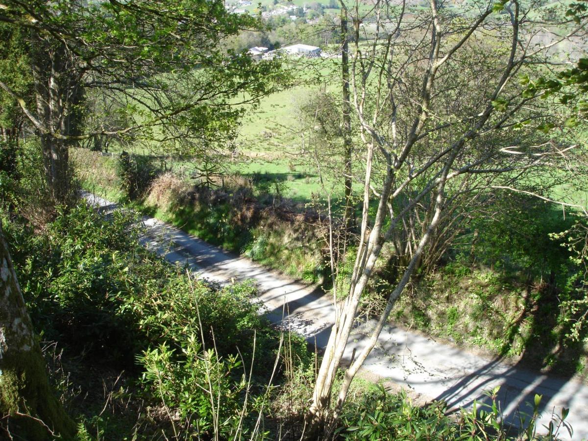 The Clochfaen Bed & Breakfast Llangurig Exterior photo